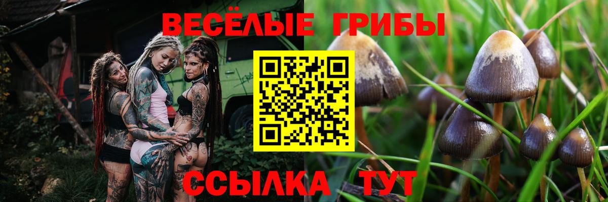 Галлюциногенные грибы мухоморы  Вход с VPN  Кудымкар  Галлюциногенные грибы мицелий 